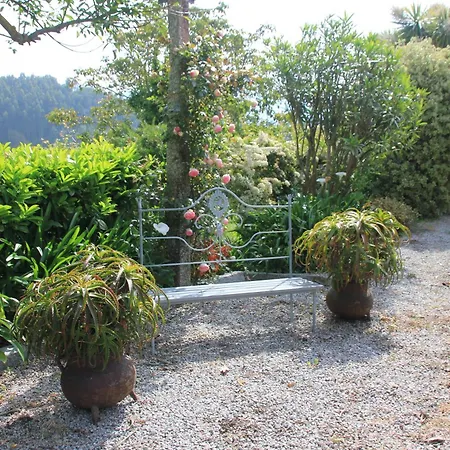 Castanheiro Cottage Relaxing Nature Ferienhaus