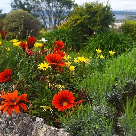 Castanheiro Cottage Relaxing Nature Ferienhaus Caminha