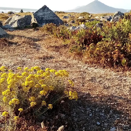 Semesterbostad Castanheiro Relaxing Nature *