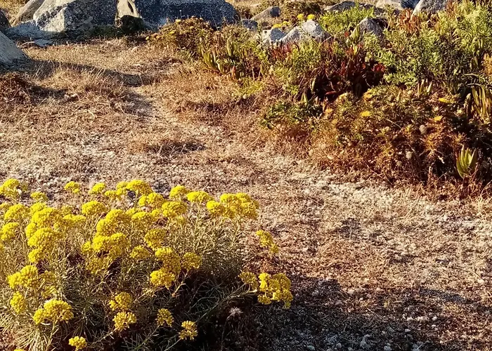 Holiday home Castanheiro Cottage Relaxing Nature *