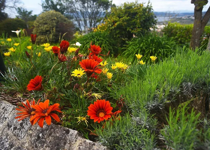 Castanheiro Cottage Relaxing Nature Holiday home Caminha